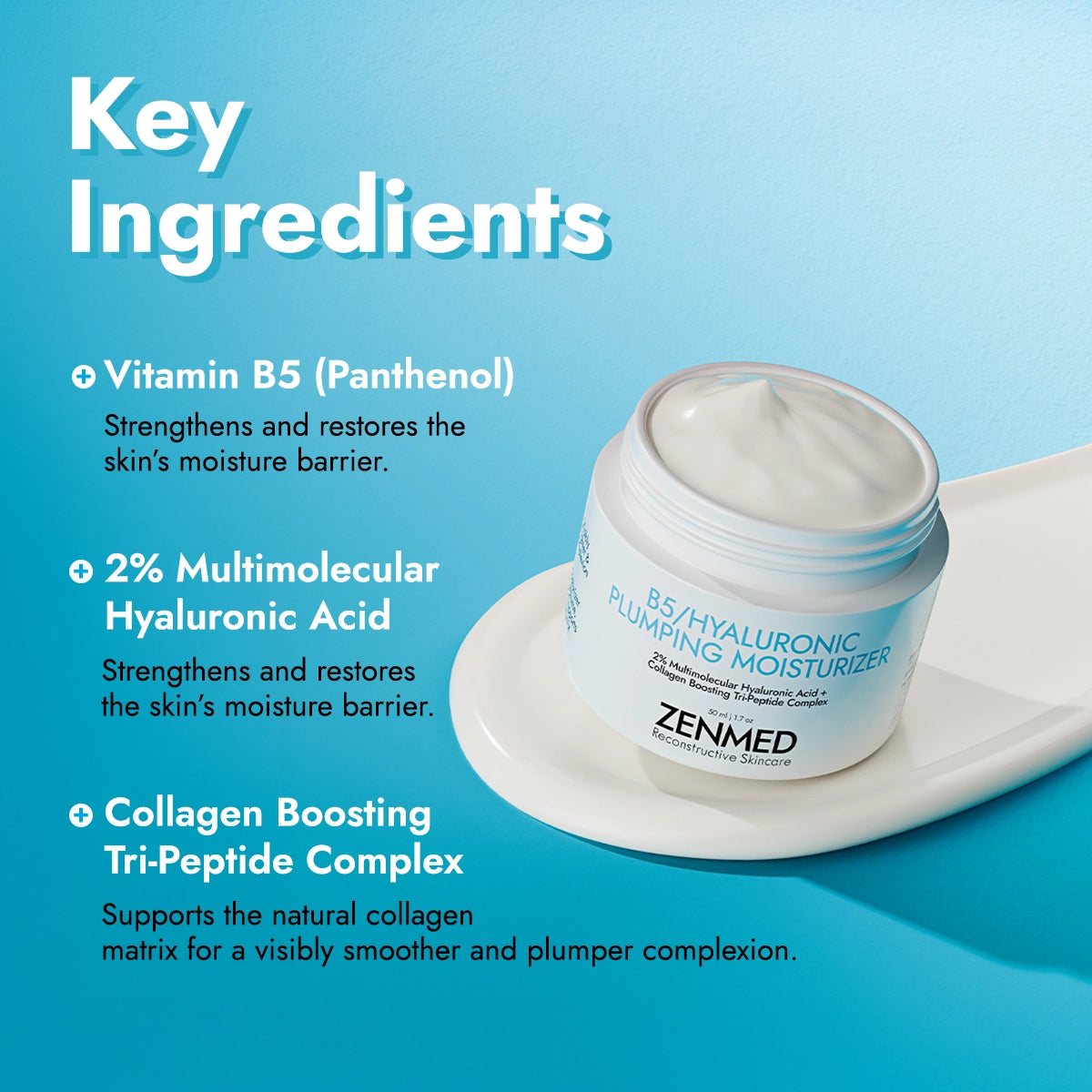 B5 Hyaluronic Plumping Moisturizer - Deep Moisture Immersion Cream